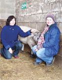 Two women in winter coats kneeling and smiling while petting a light-colored sheep in a barn.