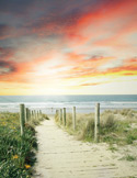 A wooden plank path leading through sand dunes toward a calm ocean under a vibrant orange and pink sunrise.