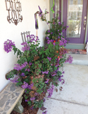Vibrant purple flowers in pots on a porch next to a stone bench and a decorative "Laugh Love" wall sign.