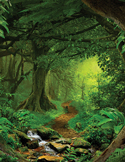A lush, green forest scene featuring a narrow dirt path winding through ancient trees and a small stream.