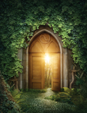 An arched wooden doorway opens to a bright, glowing forest, surrounded by lush green ivy.