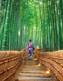 A person in a floral kimono walks up stone steps through a lush, towering green bamboo forest.