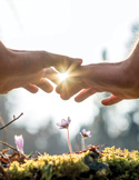 Two hands reaching toward each other over small wildflowers with bright sunbeams shining through.