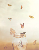 Several colorful butterflies fly upward out of an open glass jar against a soft, hazy background.