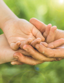 Close-up of a young child's hands resting inside the larger, weathered hands of an adult outdoors.