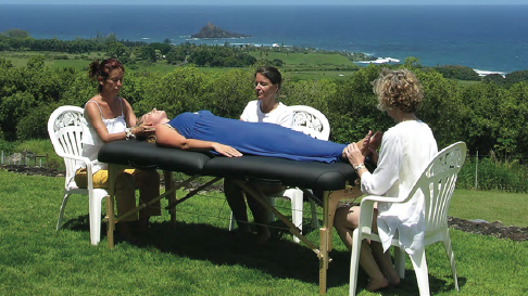 Four people conduct a Reiki healing session outdoors, with one person lying on a table overlooking green hills and the ocean.