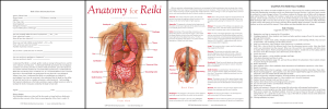 Collage showing text forms and an “Anatomy for Reiki” illustration with labeled organs and reference notes.
